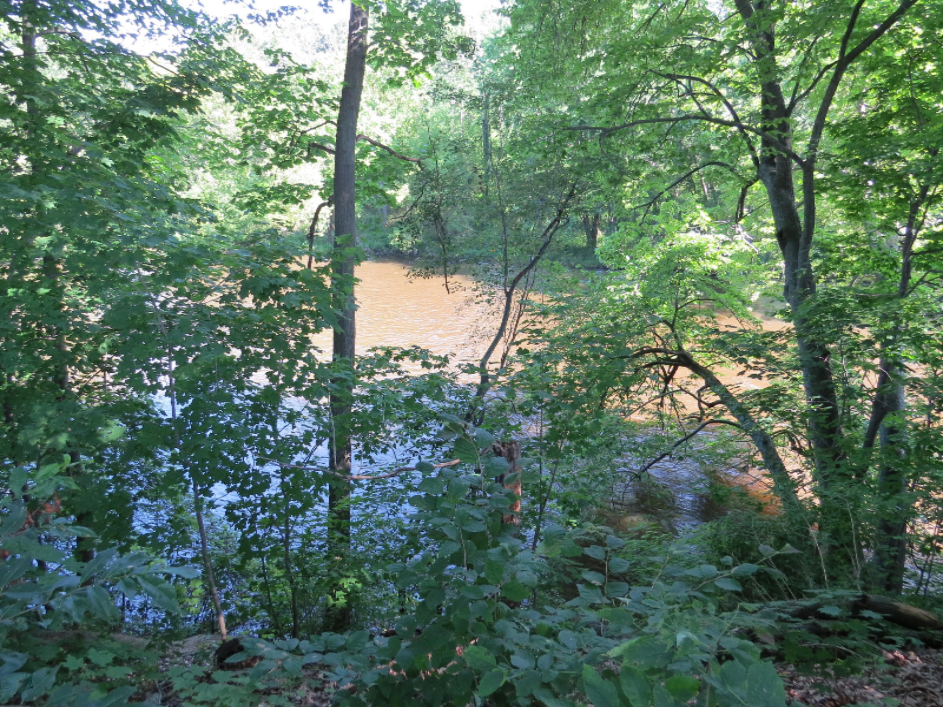 1837 Jefferson Road Otsego, MI 49078 - Photo 15 of 16 IMG_2215