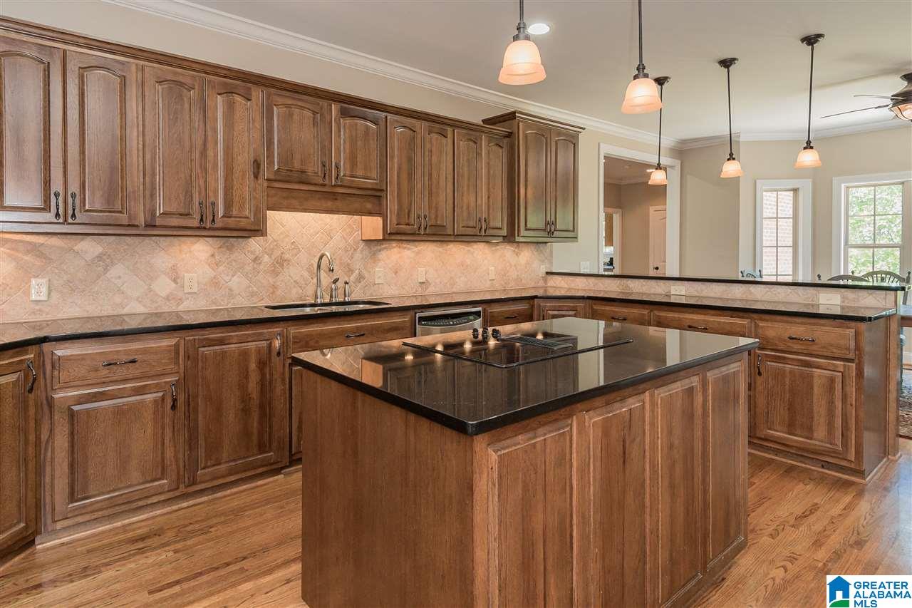 3684 Pine Mountain Road Remlap, AL 35133 - Photo 9 of 40