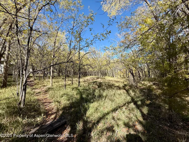 $250,000 | 1102 Santa Clara Avenue, Grand Junction, CO 81503