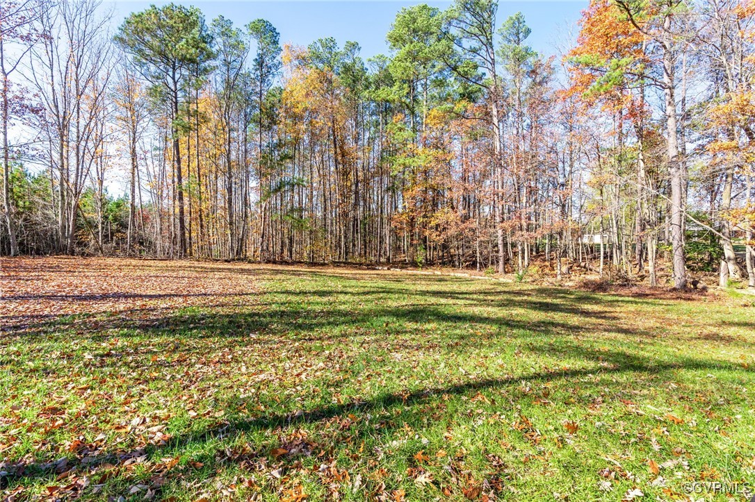 3530 Partlow Road Partlow, VA 22534 - Photo 39 of 50 Back yard view from the back of the home