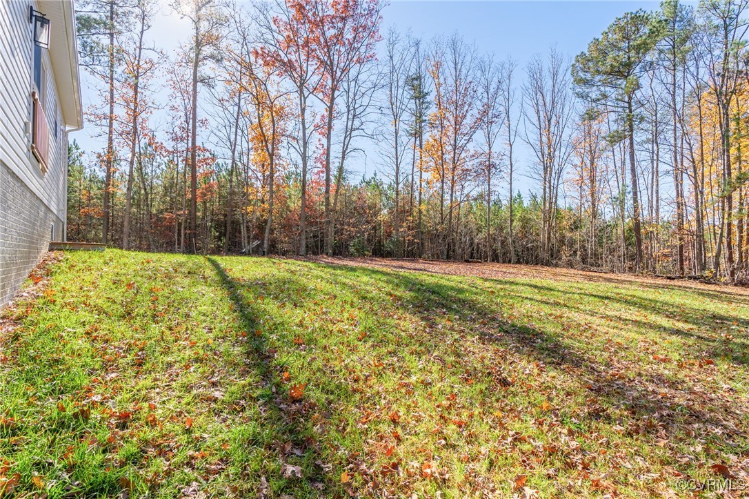 3530 Partlow Road Partlow, VA 22534 - Photo 40 of 50 Back yard view from the side yard