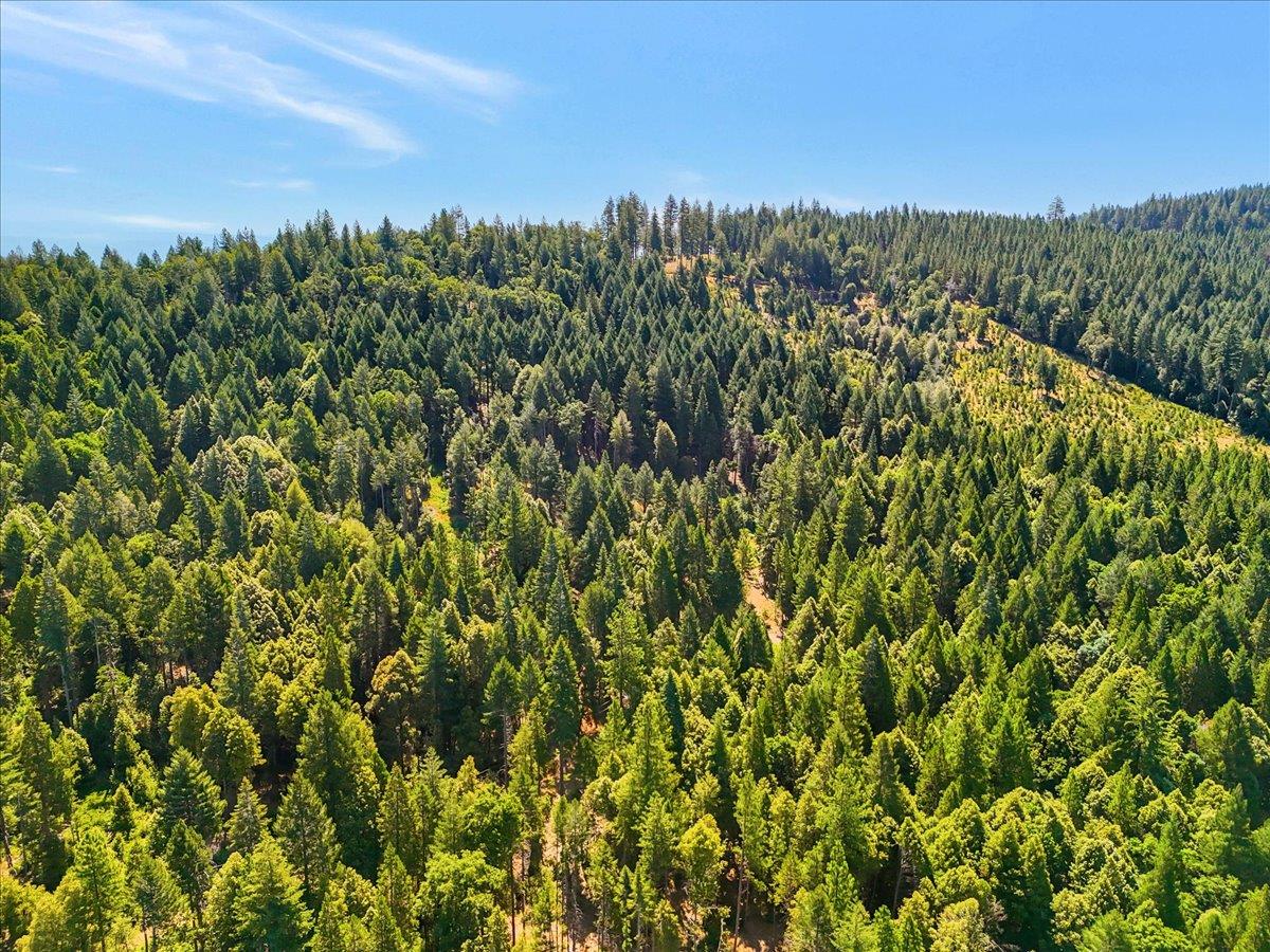 17079 Balboa Trail Challenge, CA 95925 - Photo 42 of 59