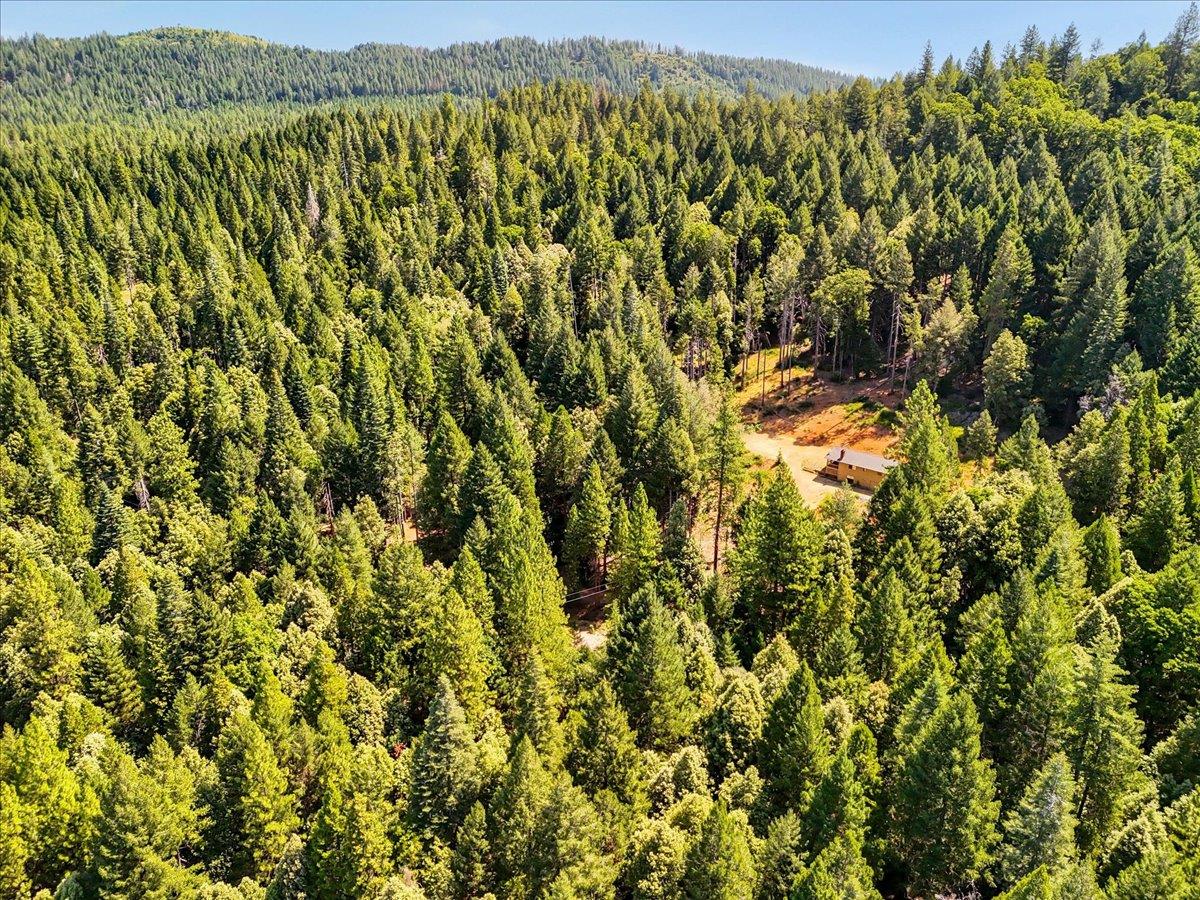 17079 Balboa Trail Challenge, CA 95925 - Photo 43 of 59