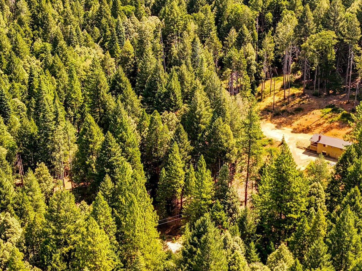 17079 Balboa Trail Challenge, CA 95925 - Photo 44 of 59