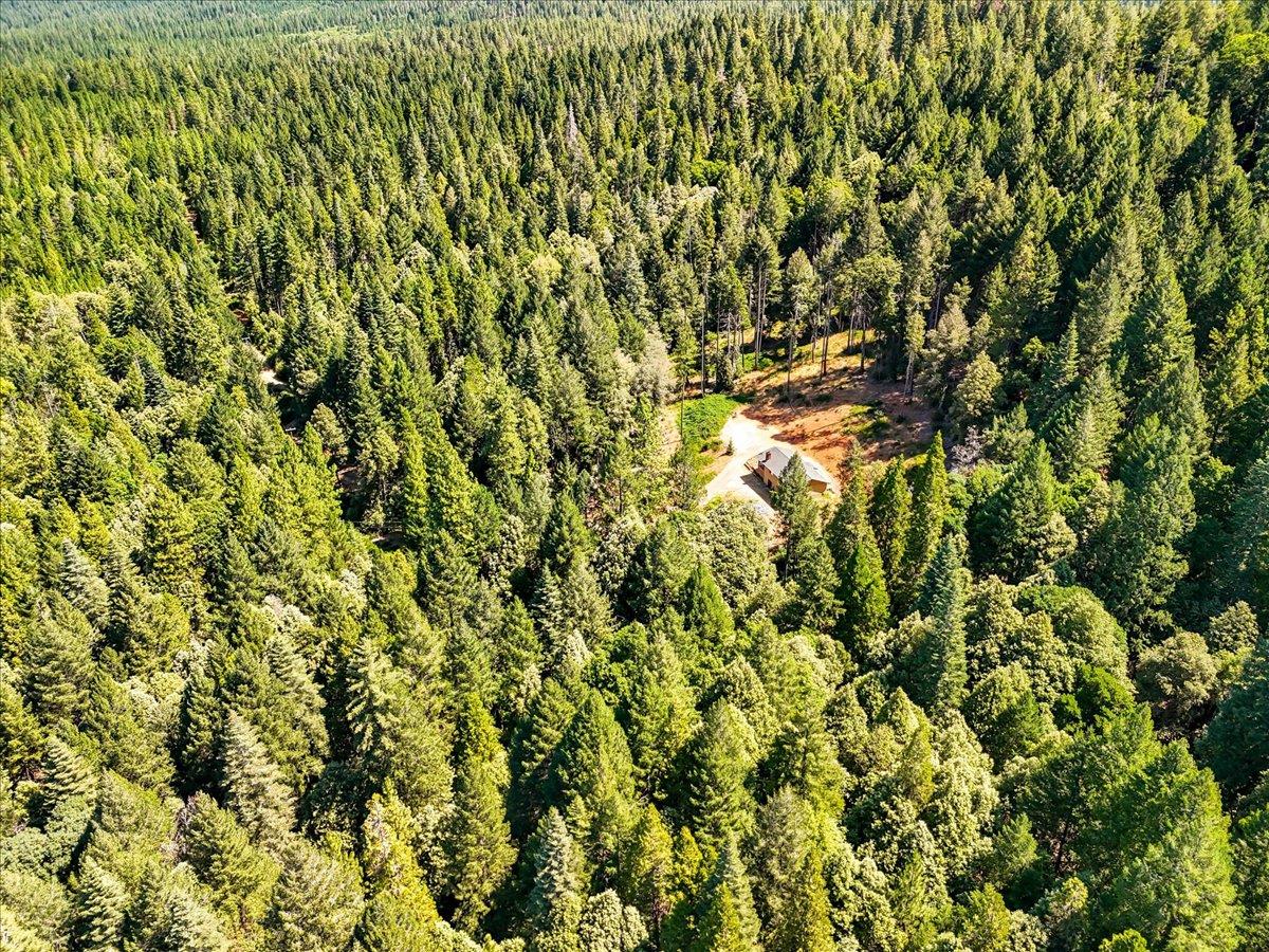 17079 Balboa Trail Challenge, CA 95925 - Photo 45 of 59