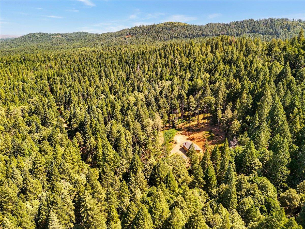 17079 Balboa Trail Challenge, CA 95925 - Photo 46 of 59