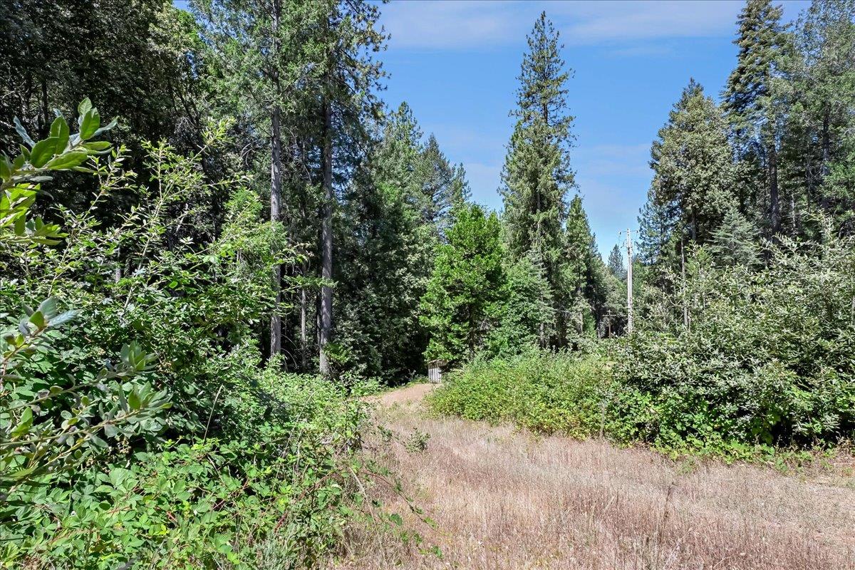 17079 Balboa Trail Challenge, CA 95925 - Photo 7 of 59