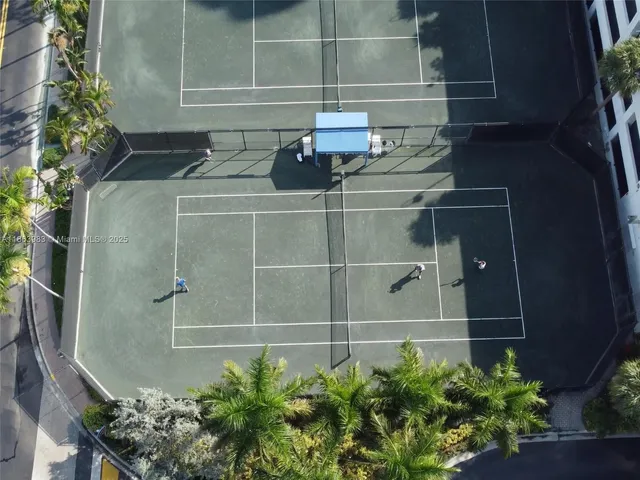 a bathroom with a potted plant and a sink