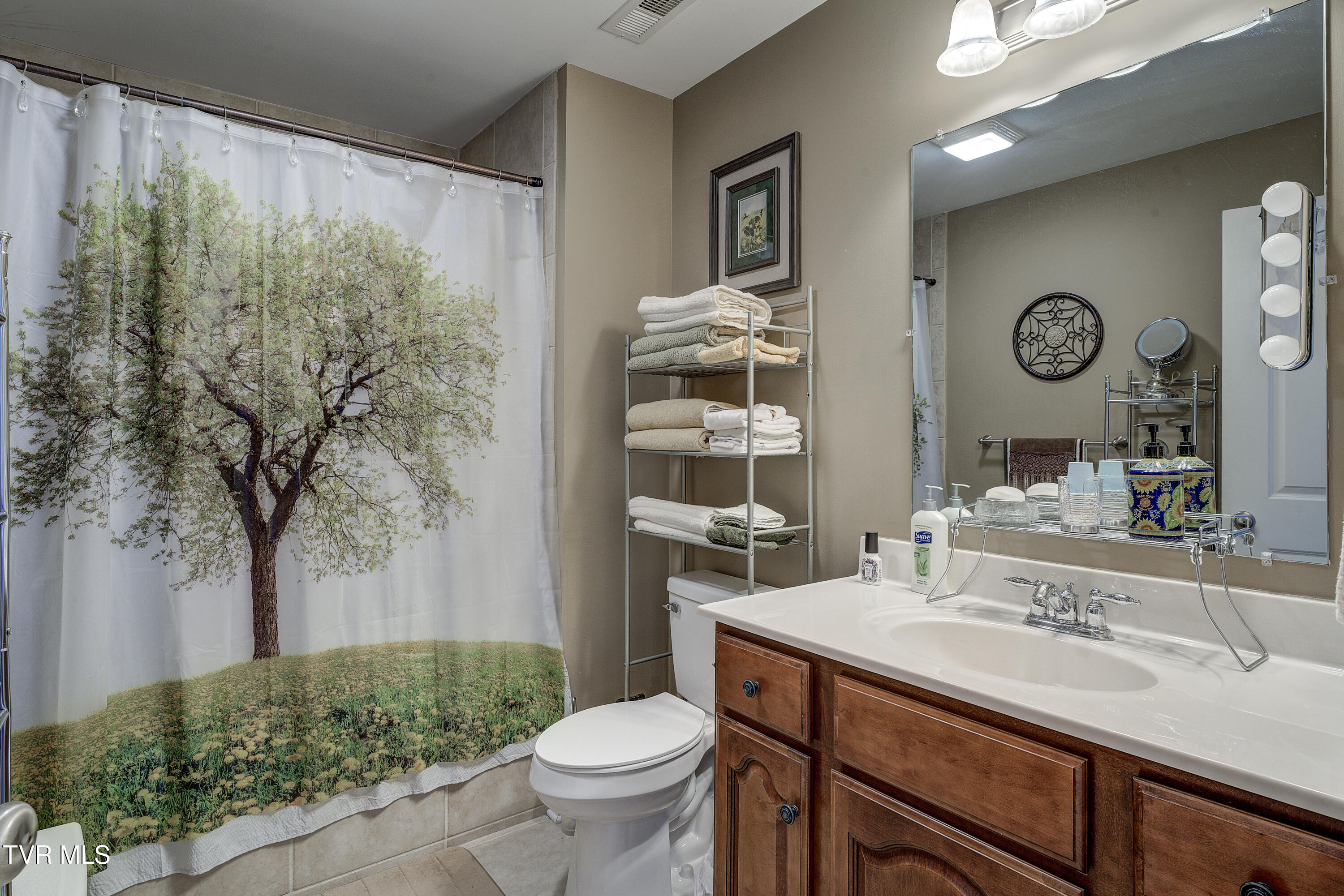404 East Mountain View Road, Unit 104 Johnson City, TN 37601 - Photo 37 of 46 MtnView104-37