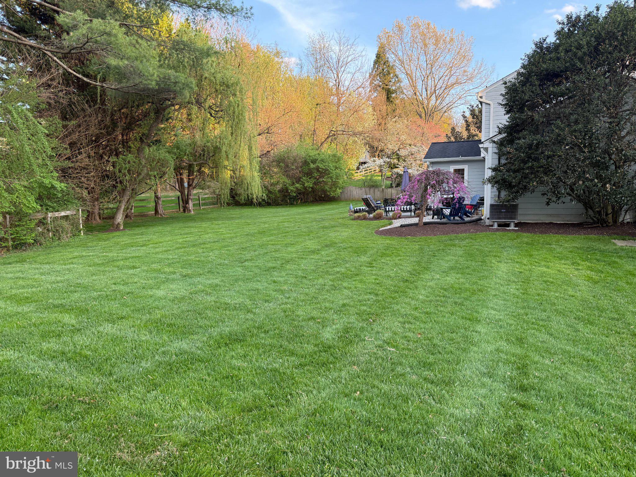 1919 Batten Hollow Road Vienna, VA 22182 - Photo 2 of 3 Lush green lawn in serene backyard.