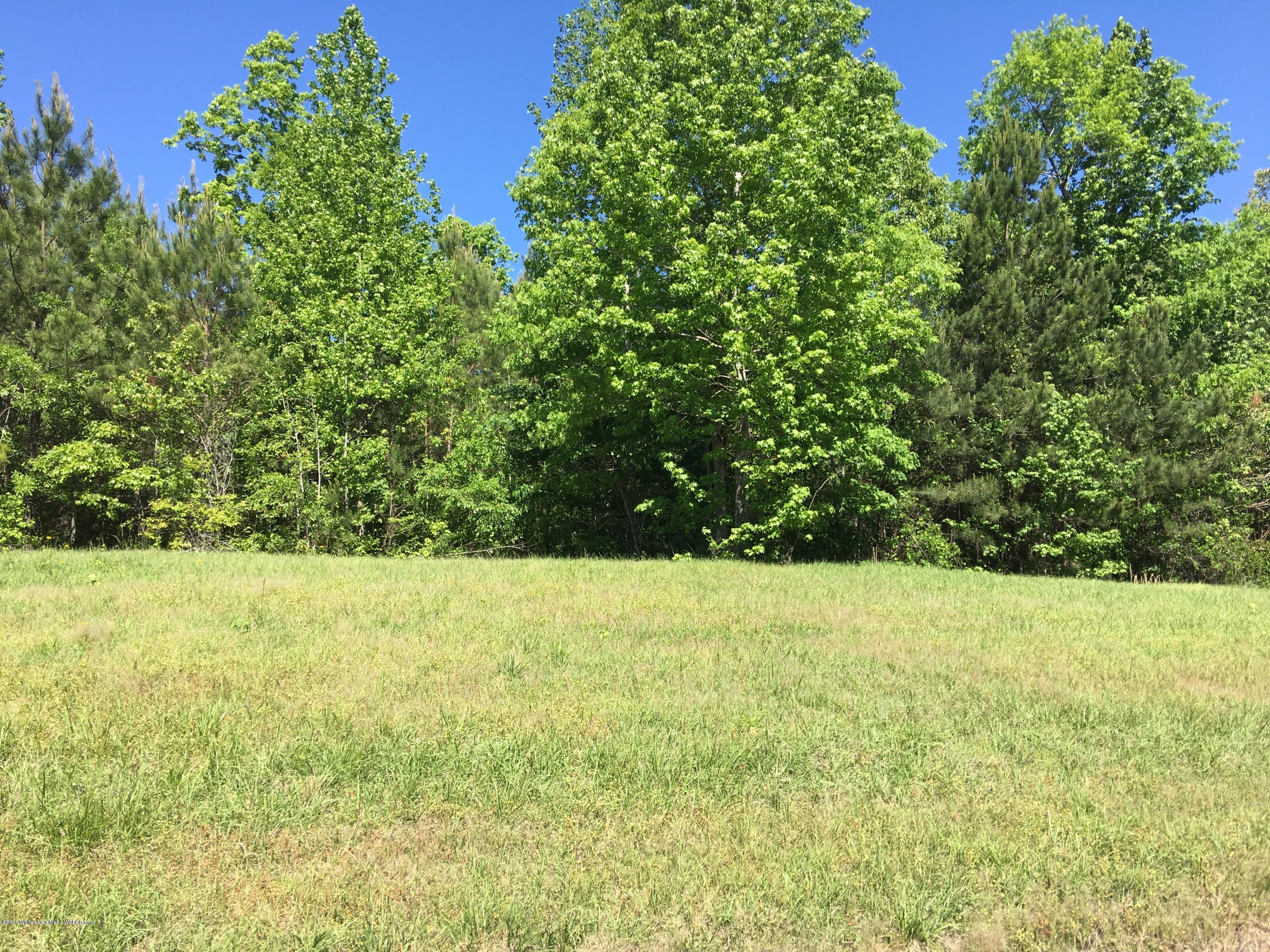 Lot 213 South Stoney Road Double Springs, AL 35553 - Photo 4 of 4 Gallery Image 4