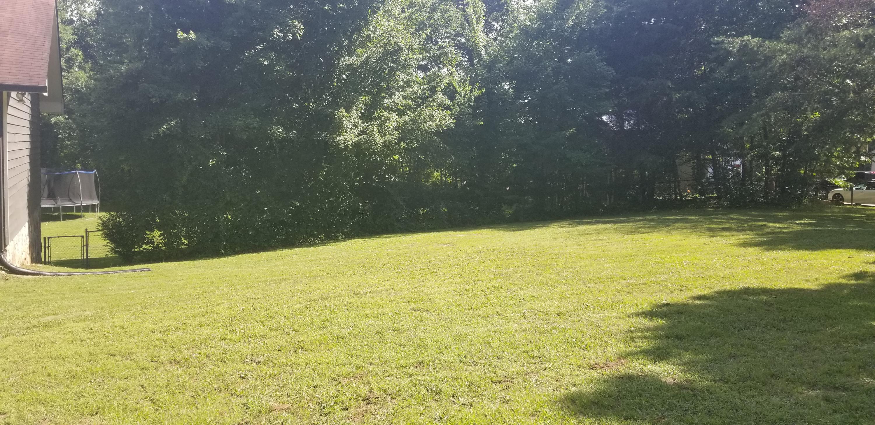 170 Spring Drive Signal Mountain, TN 37377 - Photo 24 of 29 20190622_165618