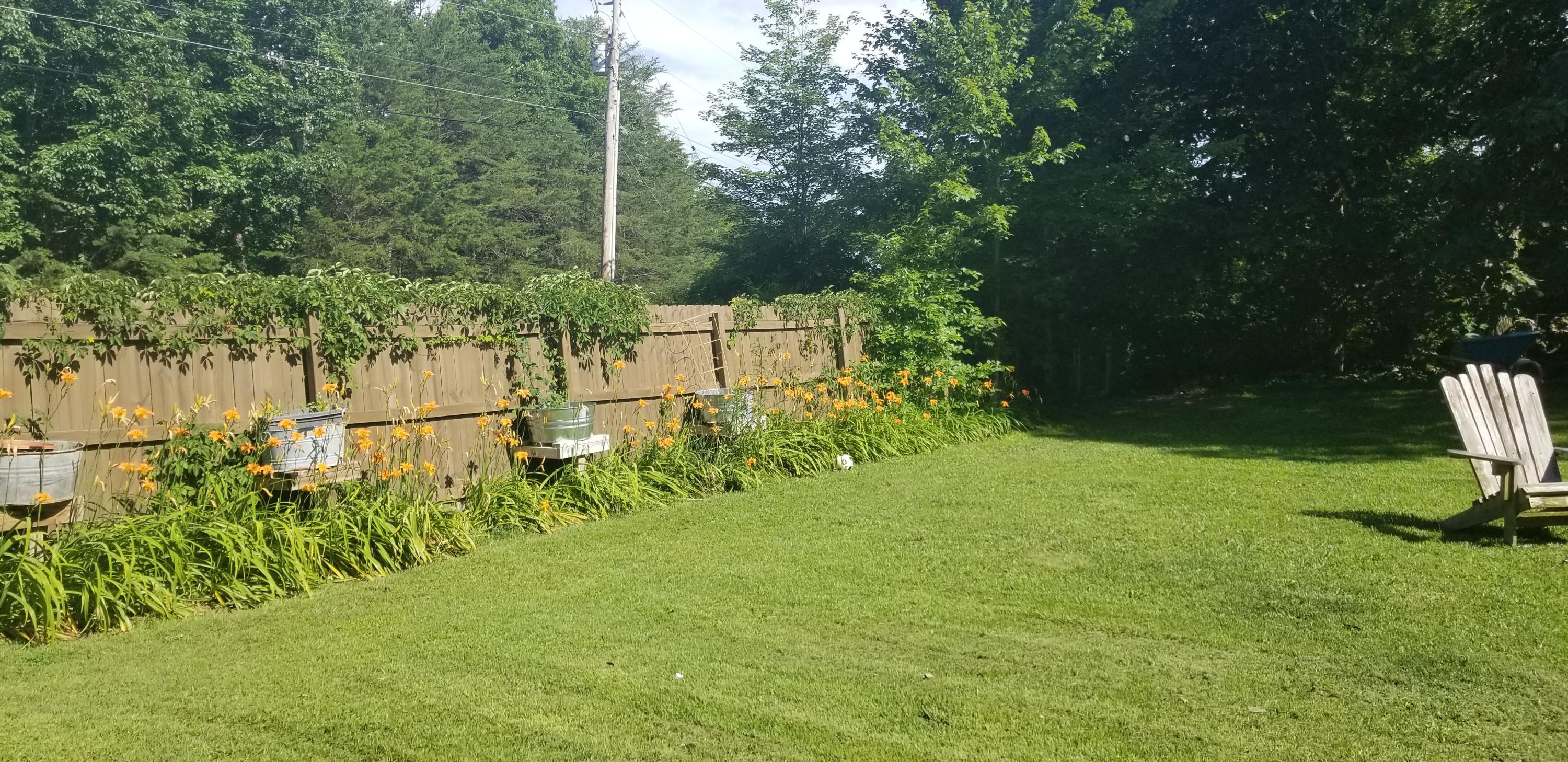170 Spring Drive Signal Mountain, TN 37377 - Photo 28 of 29 20190622_165851