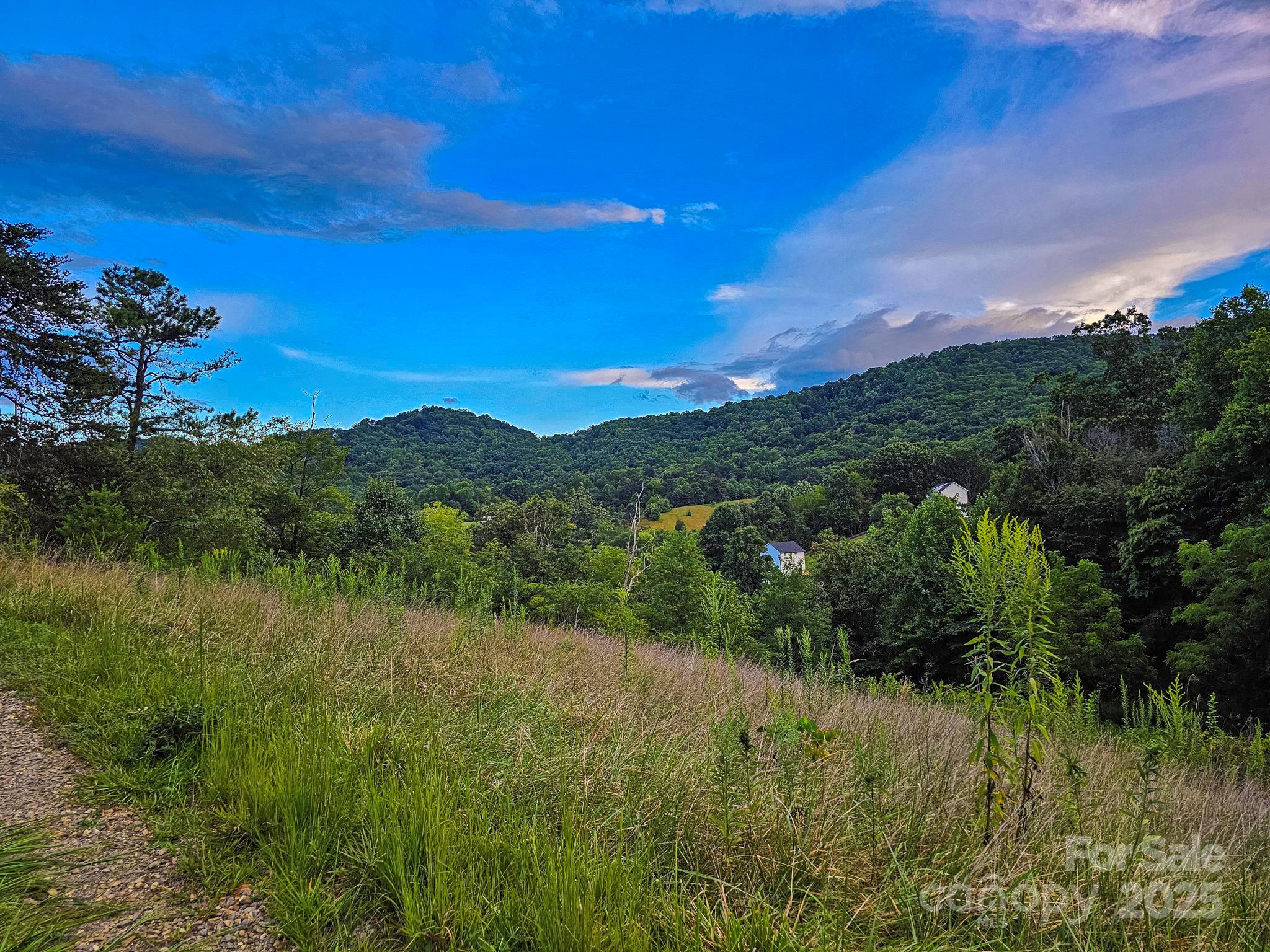 Lot 3 Murphy Cove Road Candler, NC 28715 - Photo 1 of 24 Gallery Image 1