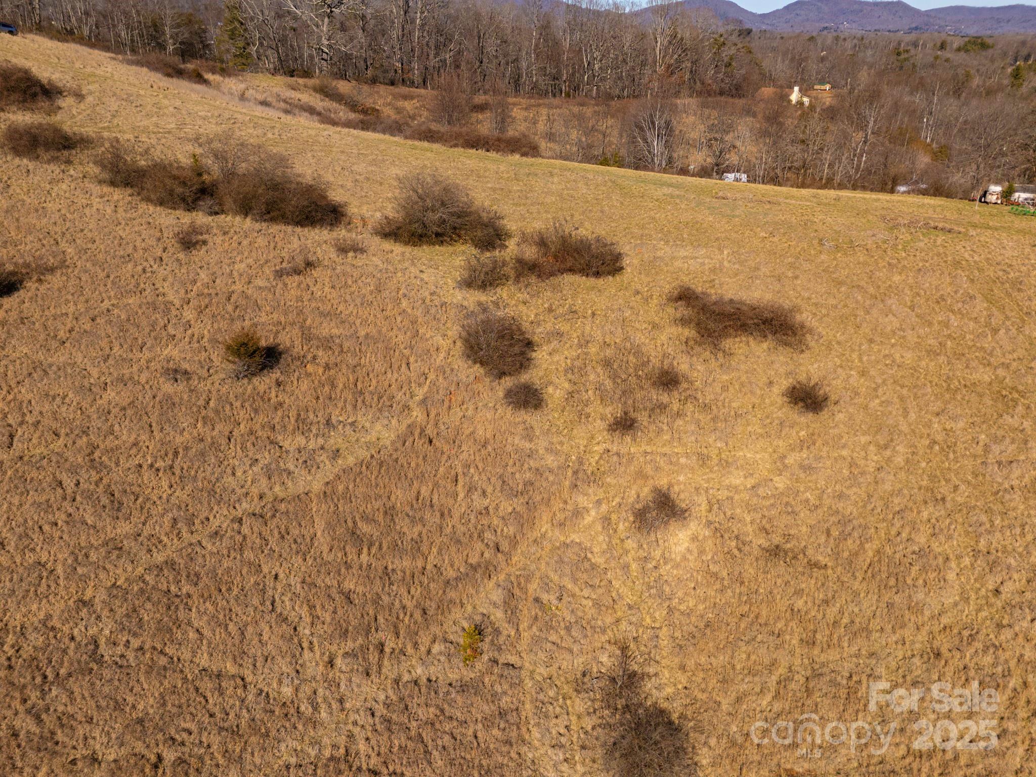 Lot 3 Murphy Cove Road Candler, NC 28715 - Photo 13 of 24 Gallery Image 13