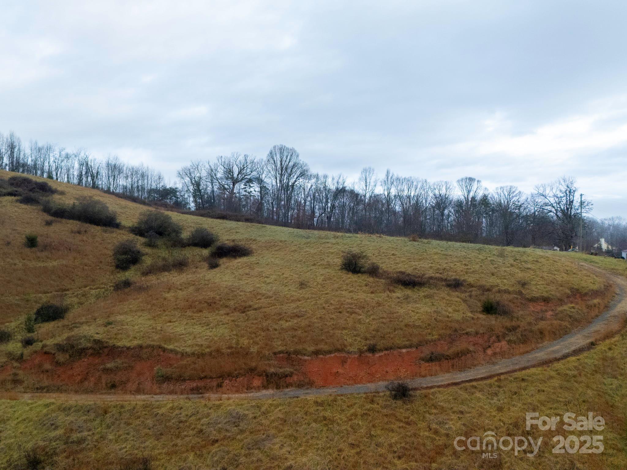 Lot 3 Murphy Cove Road Candler, NC 28715 - Photo 15 of 24 Gallery Image 15