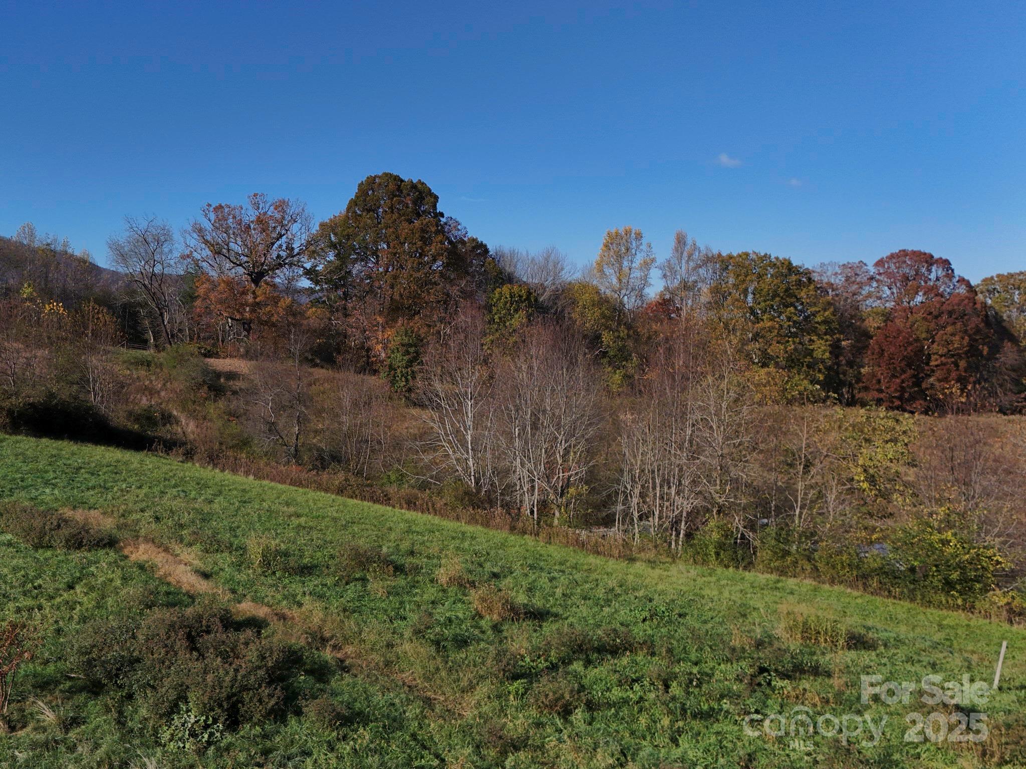 Lot 3 Murphy Cove Road Candler, NC 28715 - Photo 20 of 24 Gallery Image 20