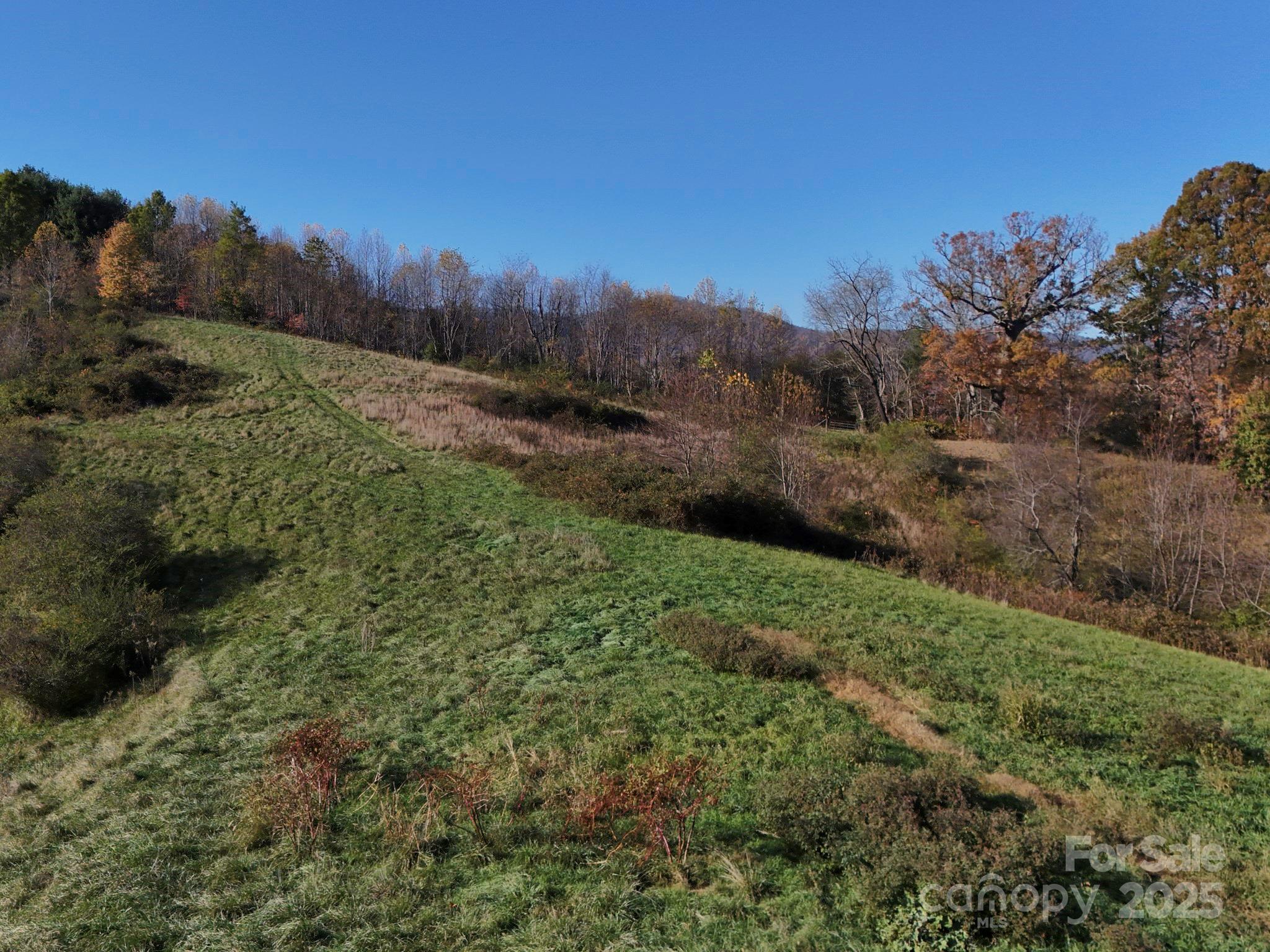 Lot 3 Murphy Cove Road Candler, NC 28715 - Photo 21 of 24 Gallery Image 21