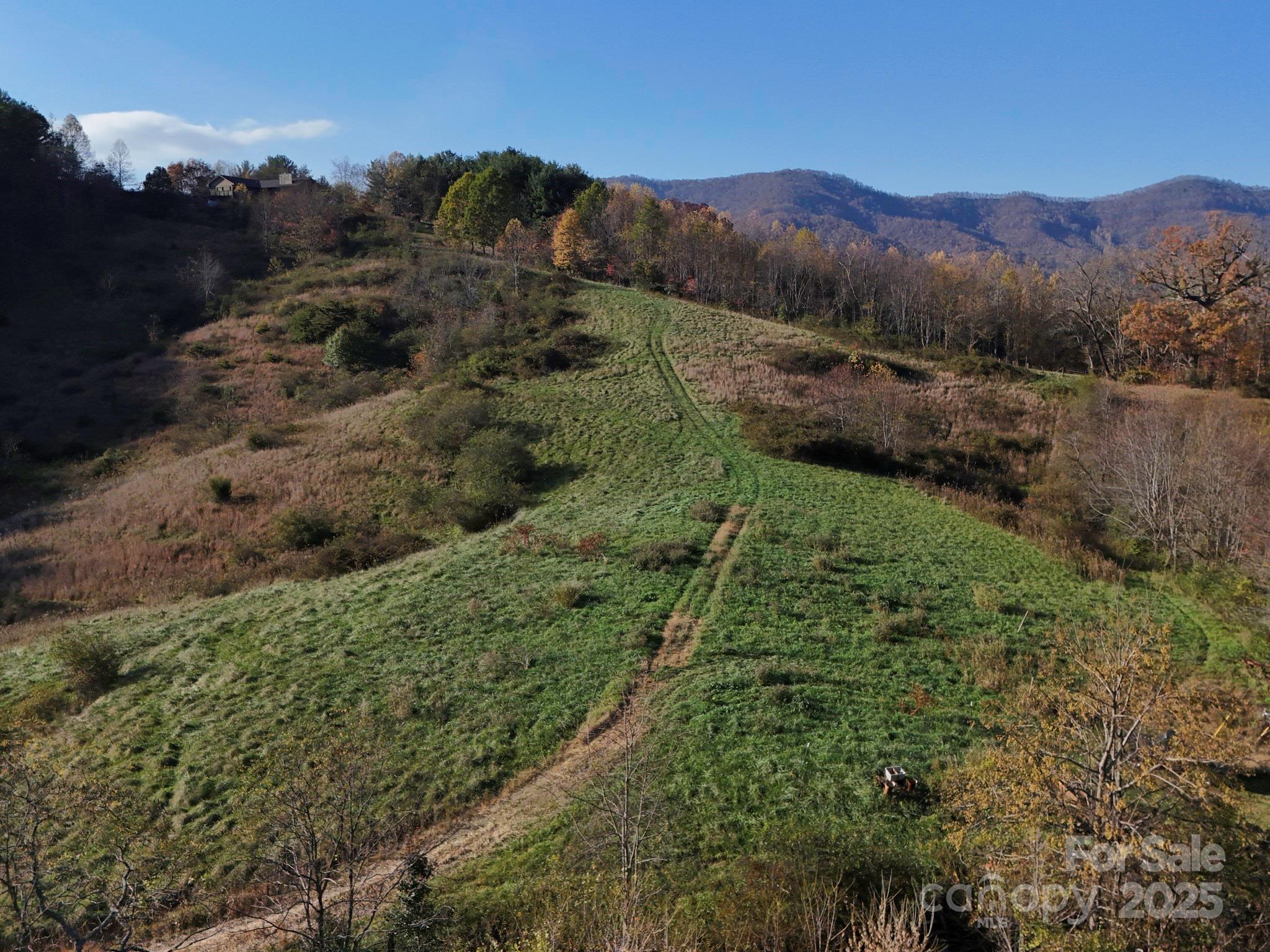 Lot 3 Murphy Cove Road Candler, NC 28715 - Photo 4 of 24 Gallery Image 4