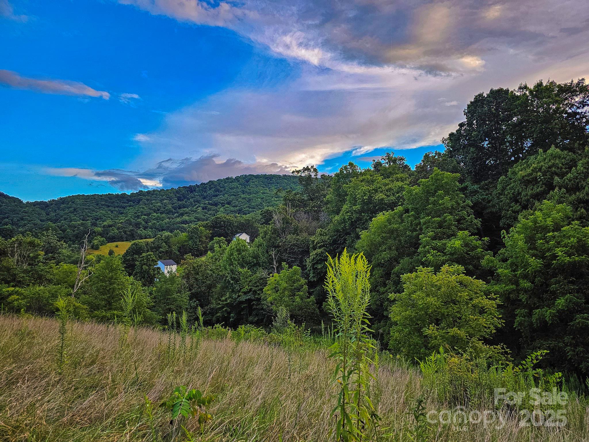 Lot 3 Murphy Cove Road Candler, NC 28715 - Photo 7 of 24 Gallery Image 7
