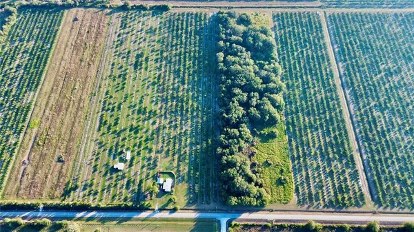 a view of a garden with plants
