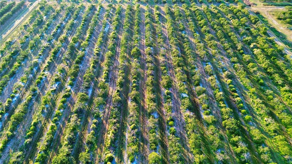 2413 Hicks Road Lorida, FL 33857 - Photo 4 of 5