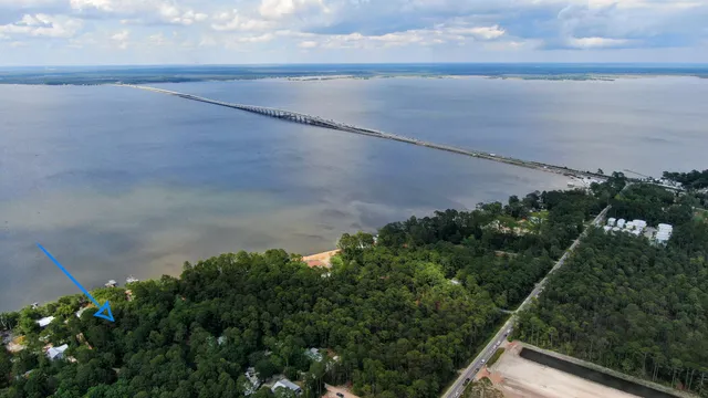 a view of a yard with plants and a bench