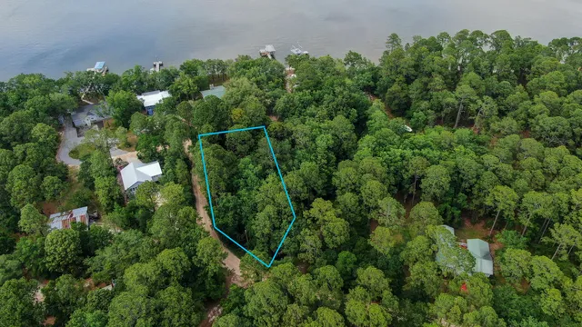 an aerial view of residential house with outdoor space and trees all around
