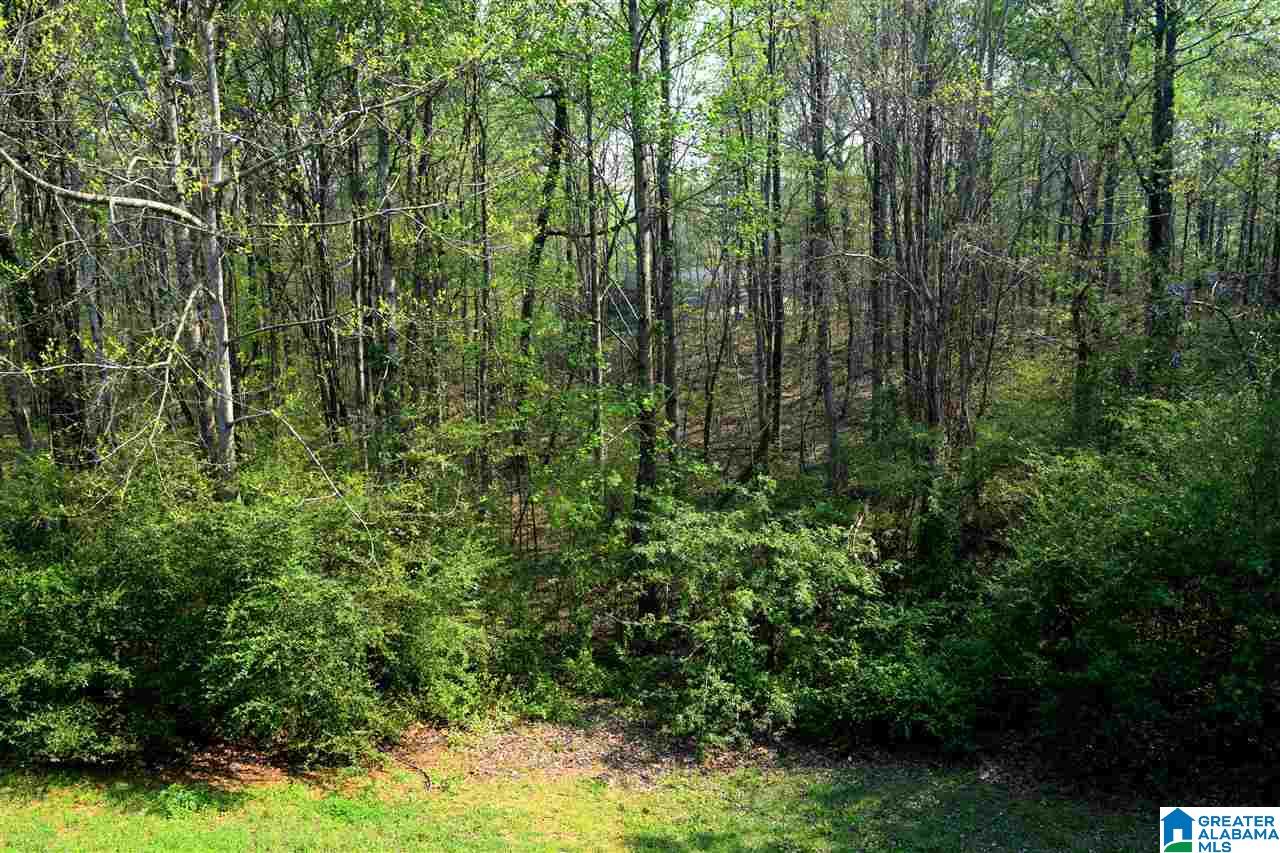 500 Echo Trail Warrior, AL 35180 - Photo 4 of 17