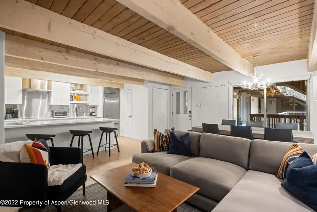 $20,000 | 731 East Durant Avenue, Unit 13, Aspen, CO 81611