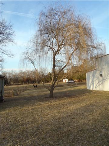 654 Coop Road Bell Buckle, TN 37020 - Photo 7 of 17 Gallery Image 7