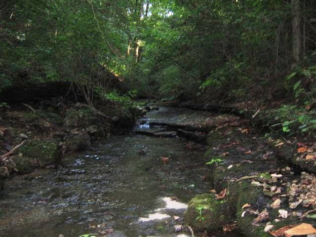 480 Knox Pearson Road Manchester, TN 37355 - Photo 13 of 20 Nice creek that runs on the property. There are great trails and paths already cut on te property and you are just a 10 minute hike to the lake with a picnic area on TVA land.