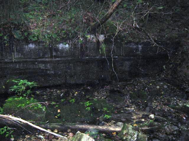 480 Knox Pearson Road Manchester, TN 37355 - Photo 15 of 20 Part of the rock formation on the property on one of the trails.