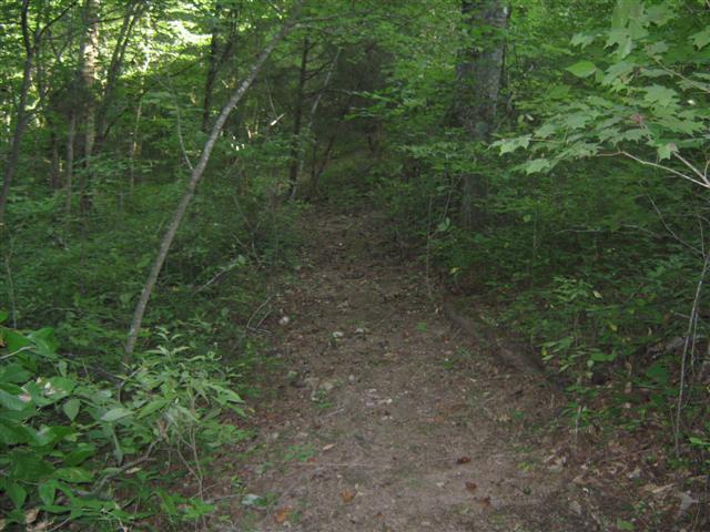 480 Knox Pearson Road Manchester, TN 37355 - Photo 16 of 20 One of the many paths and trails cut on the property