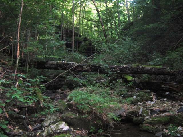 480 Knox Pearson Road Manchester, TN 37355 - Photo 17 of 20 Must see to understand just how awesome this property, nature, paths, trails, water and hike to the lake are on this property, nothing compares.