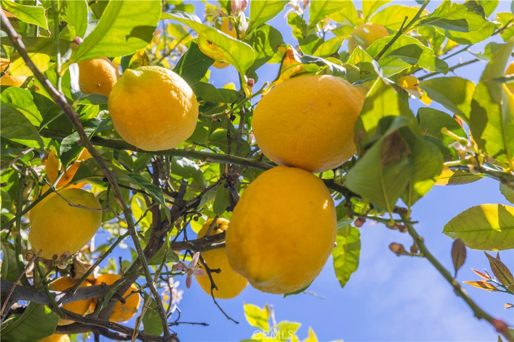 19724 Azure Field Drive Newhall, CA 91321 - Photo 27 of 34