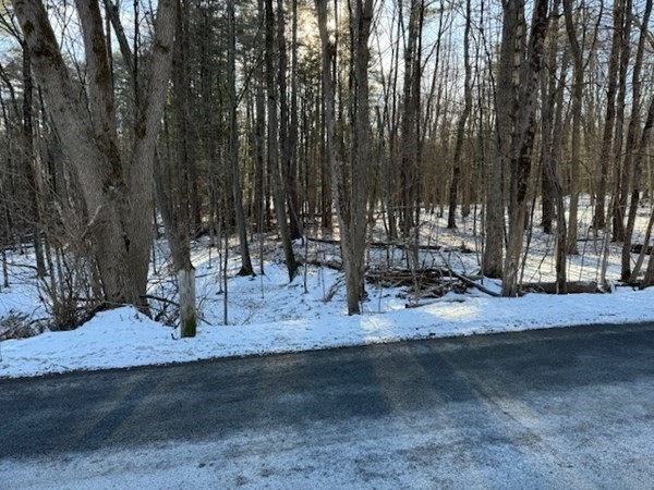 0 Mathews Road South Deerfield, MA 01373 - Photo 4 of 23 Gallery Image 4