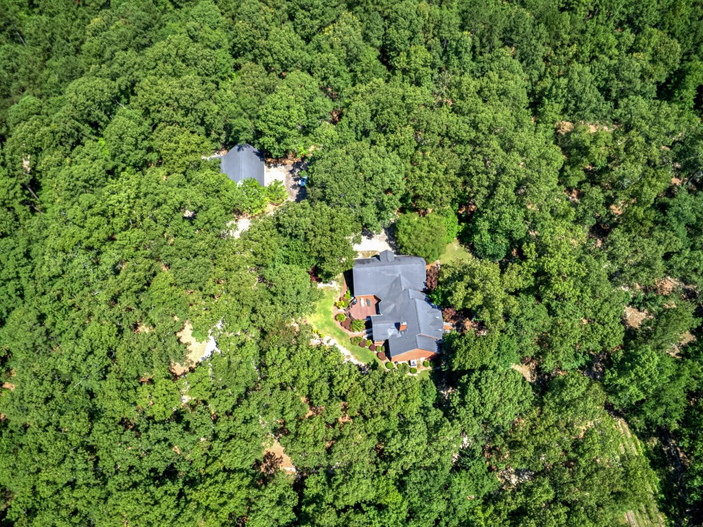 458 W Road Aiken, SC 29801 - Photo 2 of 41