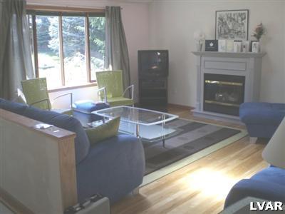 10 H.T.Y. Road Kunkletown, PA 18058 - Photo 7 of 7 a living room with granite countertop furniture and a fireplace