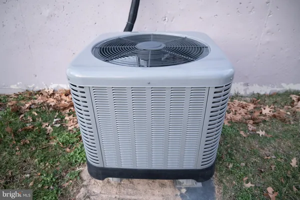 a close view of shoes