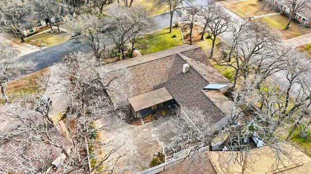 a view of a yard with plants and trees