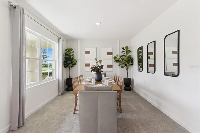 a living room with furniture potted plant floor to ceiling window and potted plant