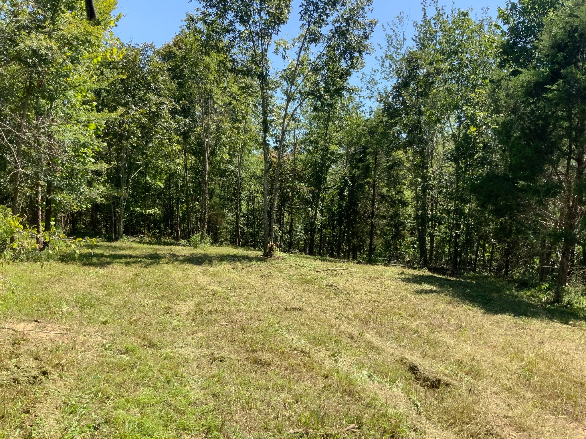 0 Streamside Drive Dover, TN 37058 - Photo 13 of 28 Gallery Image 13