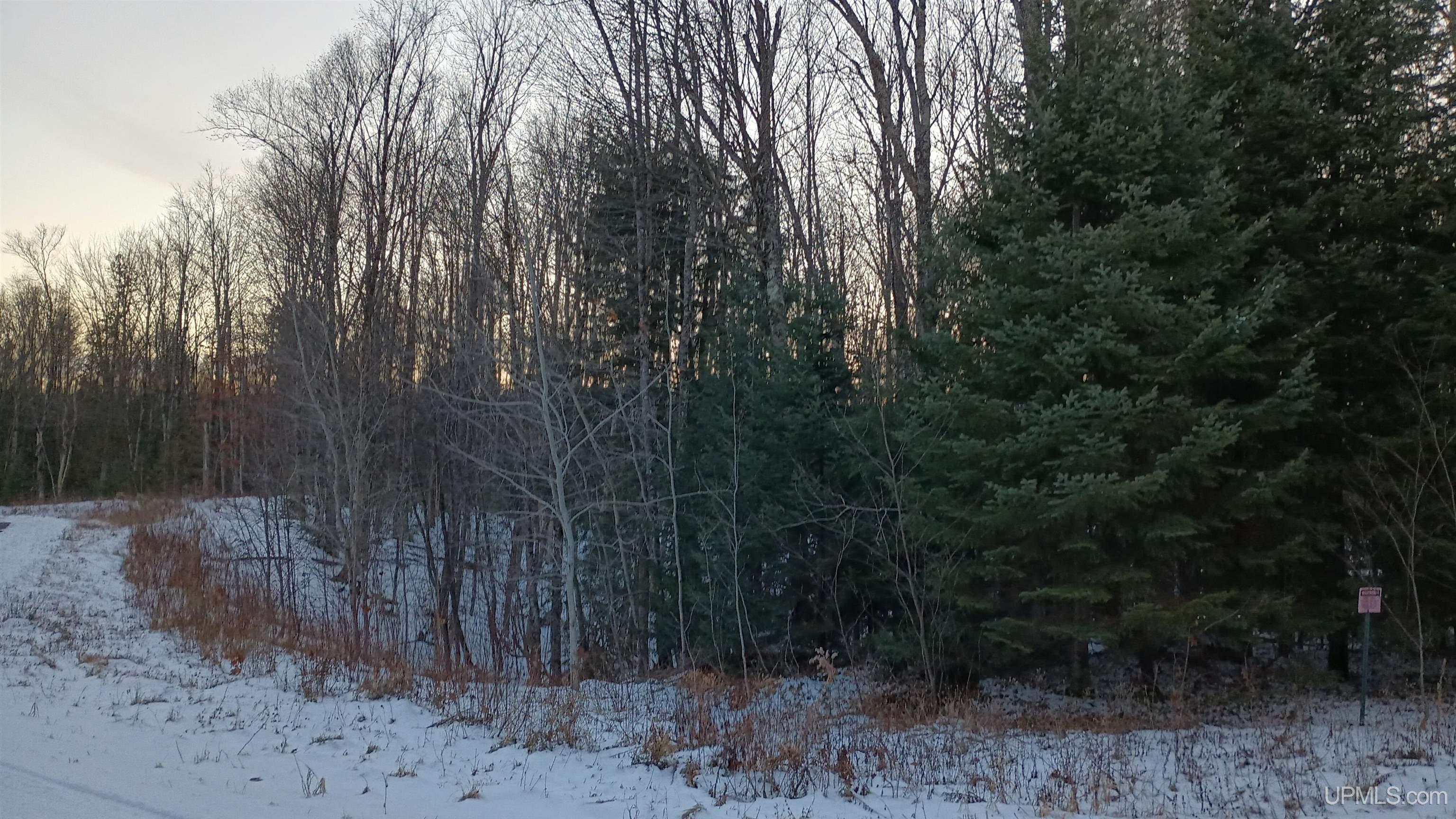 Lot 49 Hewitt Lane Mercer, WI 54547 - Photo 10 of 28 Gallery Image 10