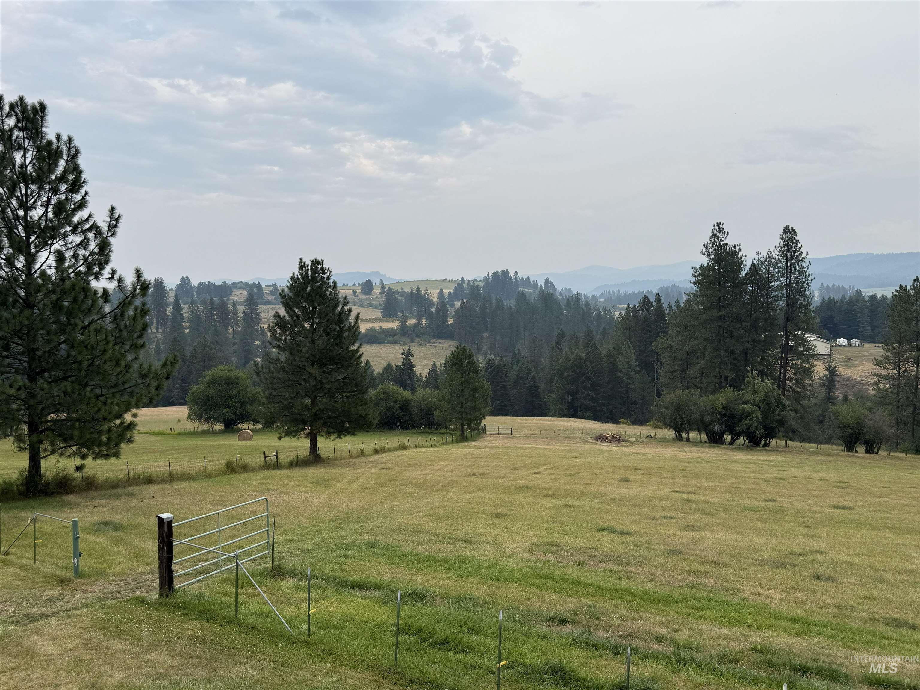 733 Pleasant Valley Road Stites, ID 83552 - Photo 24 of 46 Expansive rolling hills featuring mature evergreen trees and open pastures