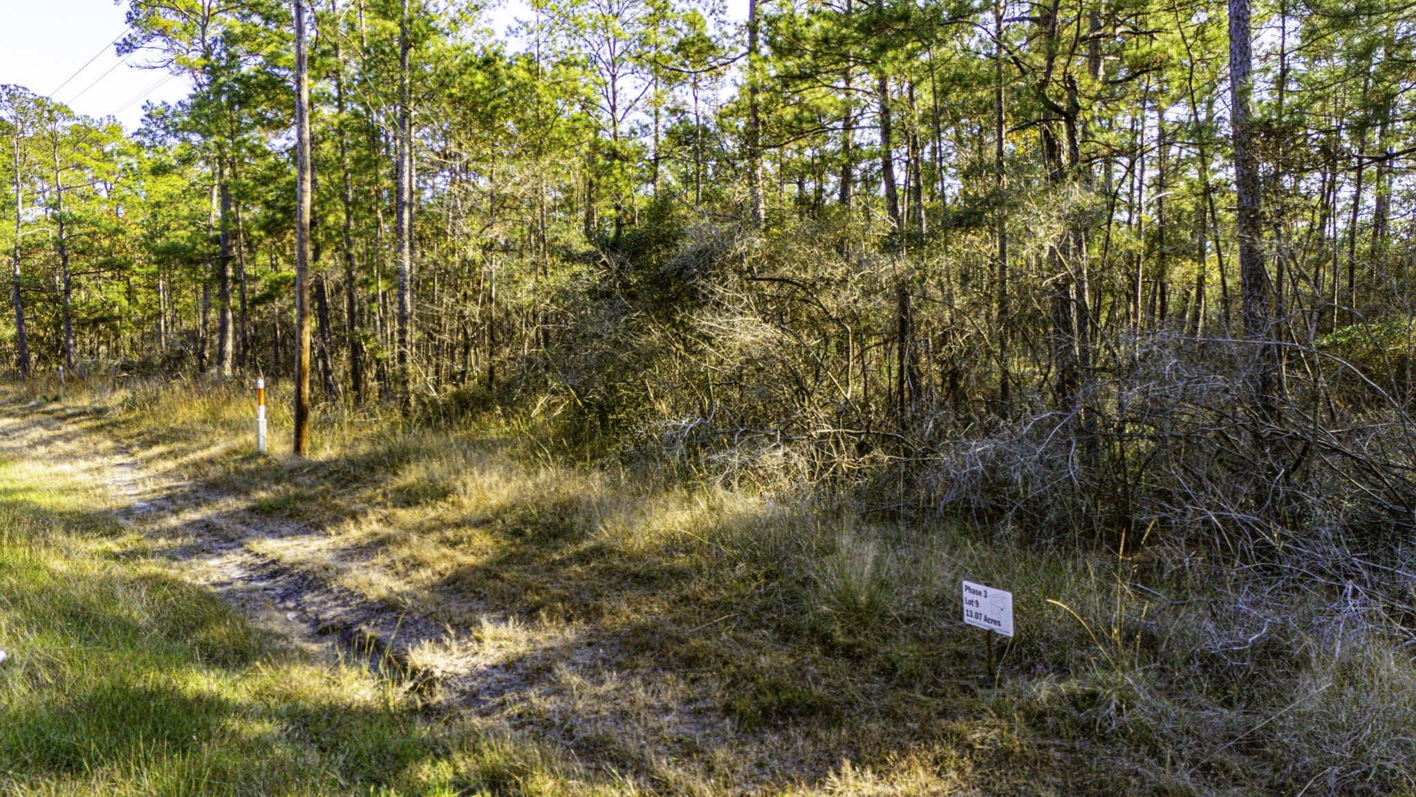39 Sportsman Retreat Road Onalaska, TX 77360 - Photo 5 of 11 a view of a yard