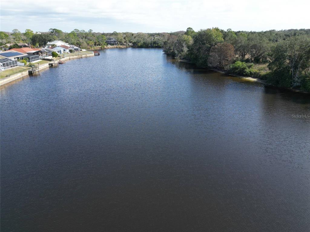 0 Berry Hill Road Holiday, FL 34690 - Photo 20 of 43