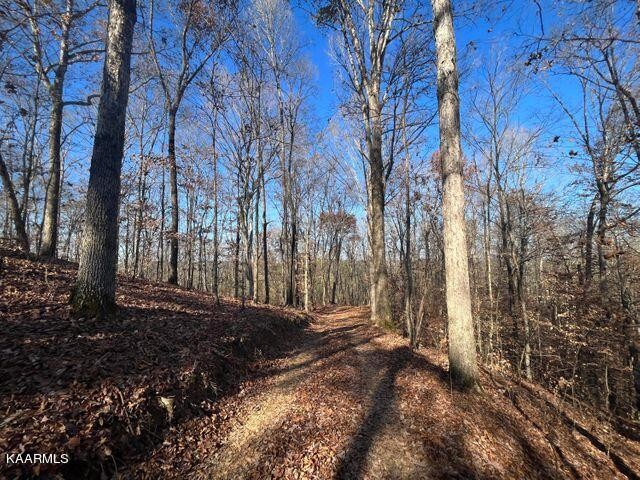 41 Athens Road Delano, TN 37325 - Photo 19 of 34