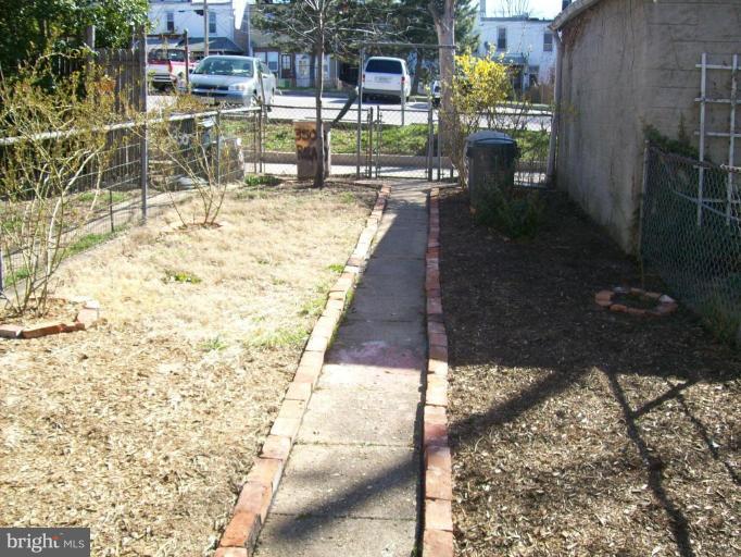 Back yard
