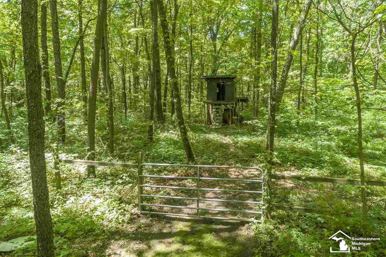 11853 Douglas Road Temperance, MI 48182 - Photo 29 of 30
